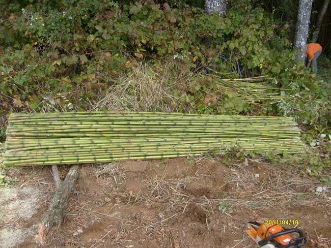 Ampliar - Más información clic aquí....