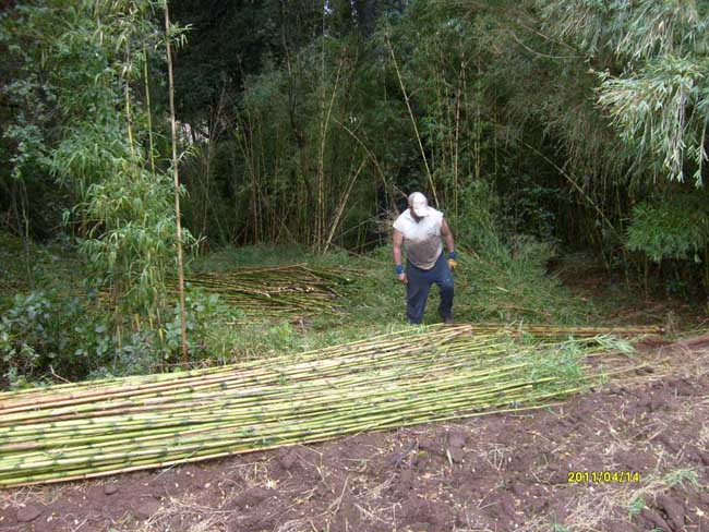 Ampliar - Más información clic aquí....