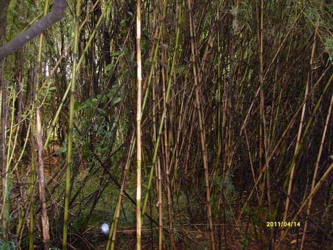 Ampliar - Más información clic aquí....