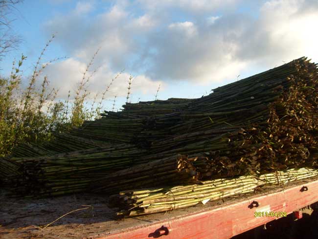 Ampliar - Más información clic aquí....