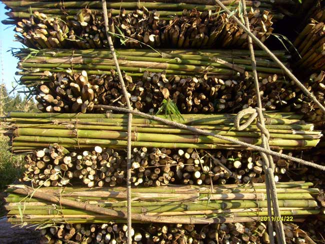 Ampliar - Más información clic aquí....