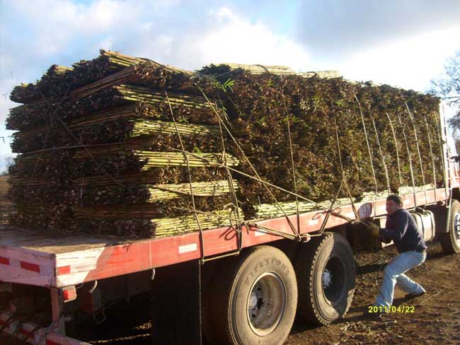 Ampliar - Más información clic aquí....