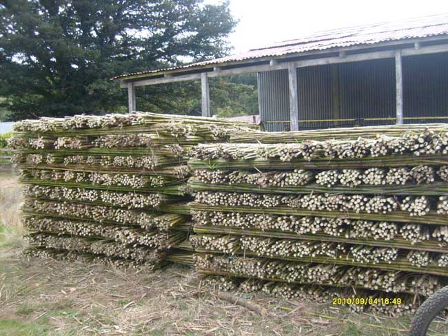 Ampliar - Más información clic aquí....