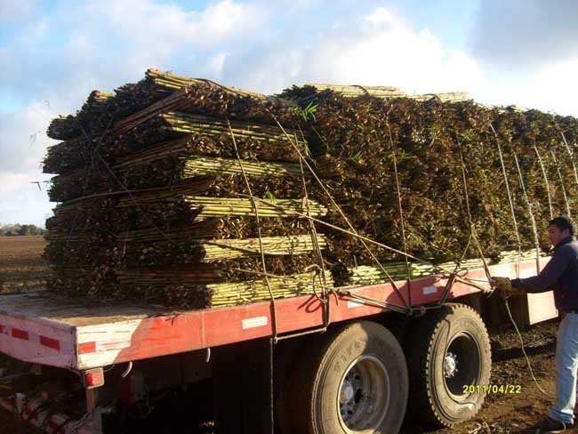 Ampliar - Más información clic aquí....