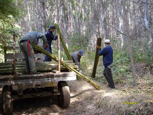 Ampliar - Más información clic aquí....