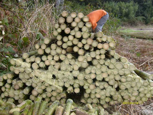 Ampliar - Más información clic aquí....